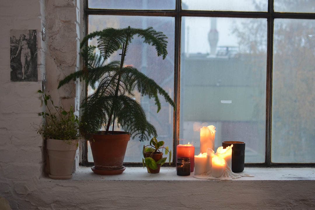 Header Image 2